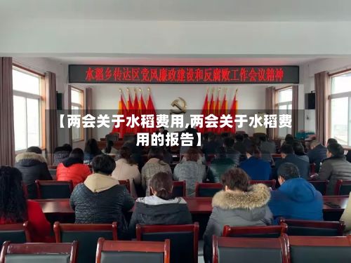 【两会关于水稻费用,两会关于水稻费用的报告】