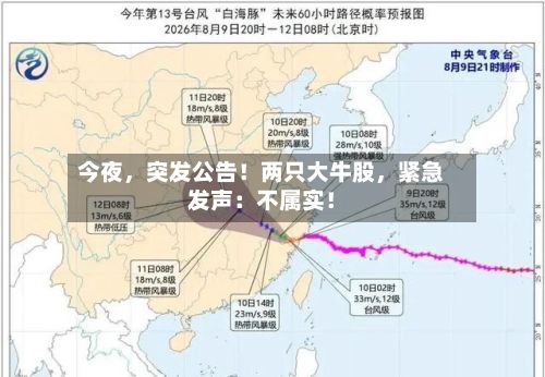 今夜，突发公告！两只大牛股，紧急发声：不属实！-第3张图片