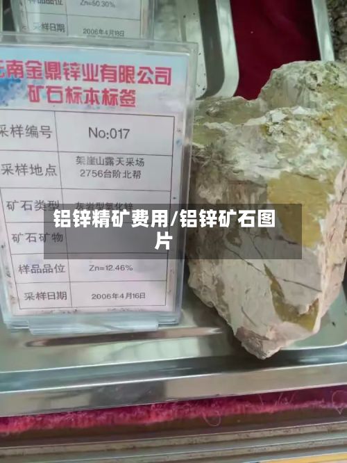 铝锌精矿费用/铝锌矿石图片-第2张图片
