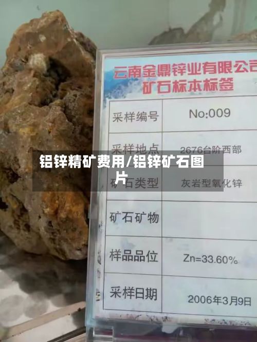 铝锌精矿费用/铝锌矿石图片