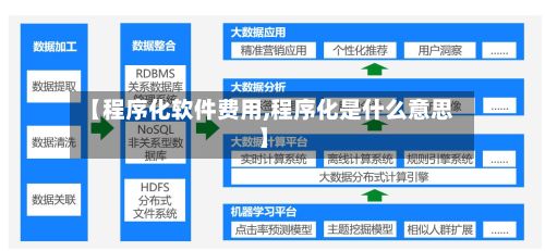【程序化软件费用,程序化是什么意思】