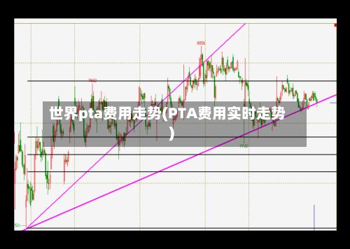 世界pta费用走势(PTA费用实时走势)