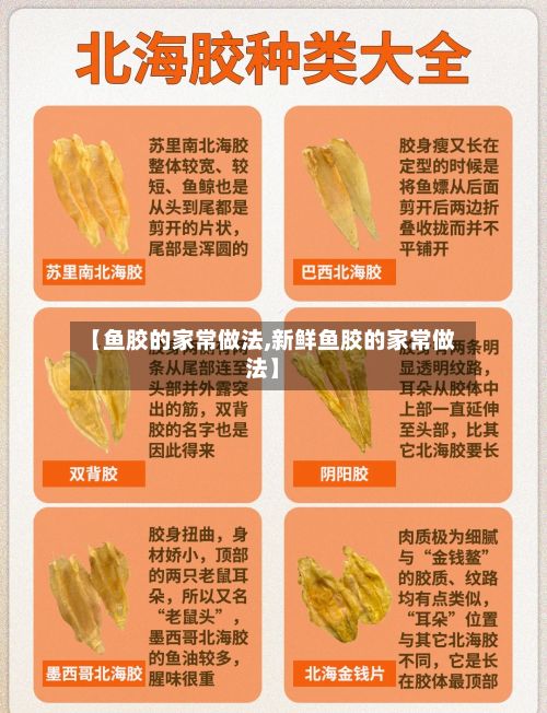 【鱼胶的家常做法,新鲜鱼胶的家常做法】