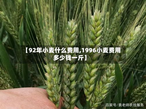 【92年小麦什么费用,1996小麦费用多少钱一斤】-第3张图片