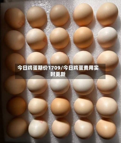 今日鸡蛋期价1709/今日鸡蛋费用实时更新-第2张图片