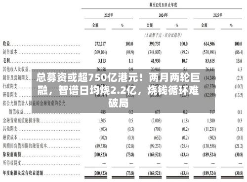 总募资或超750亿港元！两月两轮巨融，智谱日均烧2.2亿，烧钱循环难破局-第2张图片