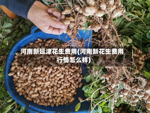 河南新延津花生费用(河南新花生费用行情怎么样)-第3张图片