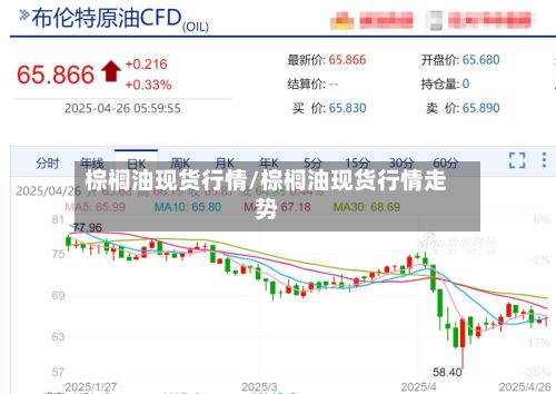 棕榈油现货行情/棕榈油现货行情走势-第2张图片