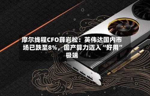 摩尔线程CFO薛岩松：英伟达国内市场已跌至8%	，国产算力迈入“好用	”极端-第2张图片