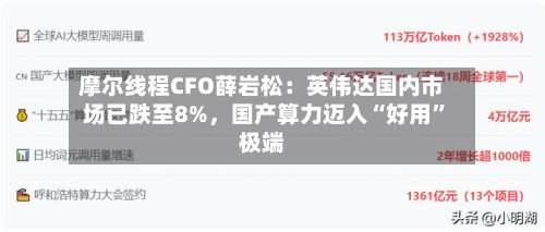 摩尔线程CFO薛岩松：英伟达国内市场已跌至8%	，国产算力迈入“好用”极端-第3张图片