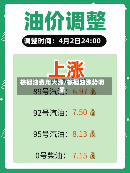 棕榈油费用大涨/棕榈油涨势明显