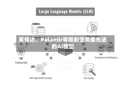 英伟达、Palantir等限制使用最先进的AI模型-第2张图片