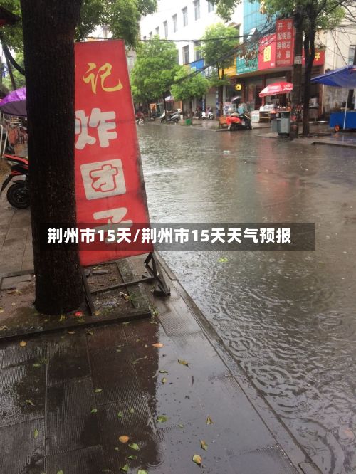 荆州市15天/荆州市15天天气预报