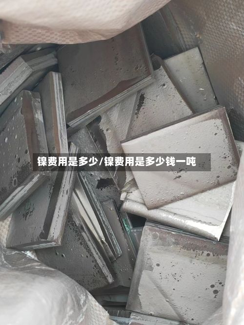 镍费用是多少/镍费用是多少钱一吨