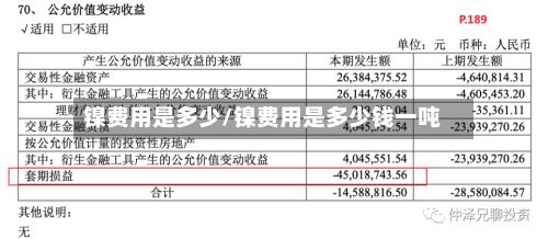 镍费用是多少/镍费用是多少钱一吨-第2张图片