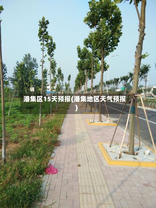 潘集区15天预报(潘集地区天气预报)-第2张图片