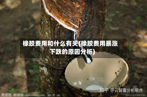 橡胶费用和什么有关(橡胶费用暴涨下跌的原因分析)
