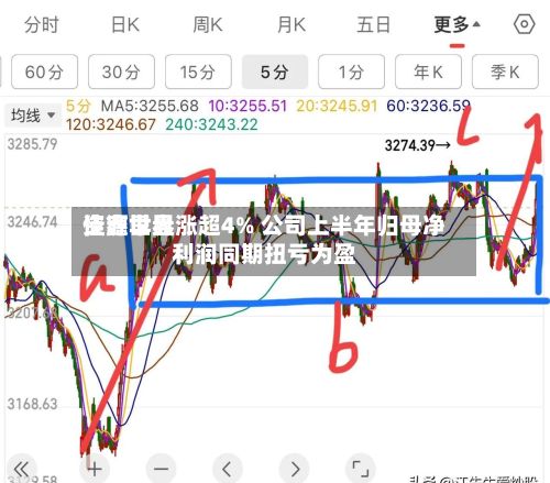 佳鑫世界资源早盘涨超4% 公司上半年归母净利润同期扭亏为盈-第1张图片