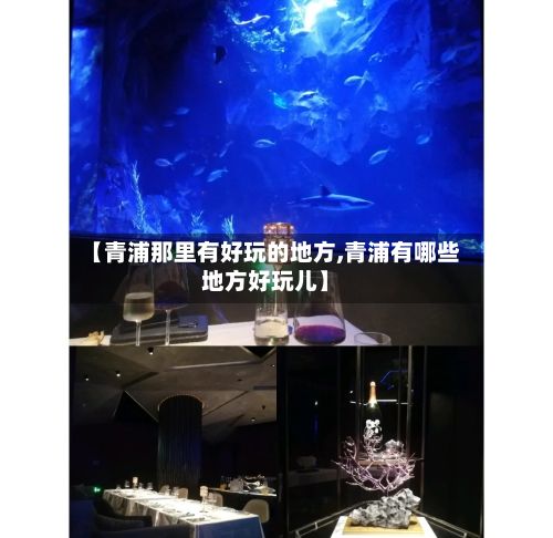 【青浦那里有好玩的地方,青浦有哪些地方好玩儿】-第3张图片