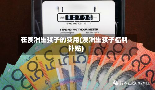 在澳洲生孩子的费用(澳洲生孩子福利补贴)