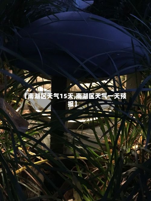 【南湖区天气15天,南湖区天气一天预报】-第3张图片