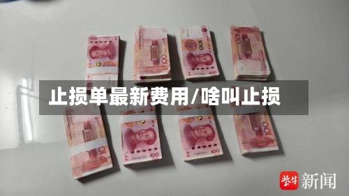 止损单最新费用/啥叫止损