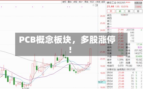 PCB概念板块，多股涨停!-第2张图片