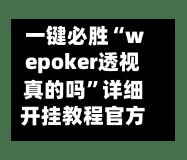 一键必胜“wepoker透视真的吗”详细开挂教程官方正版下载-第3张图片