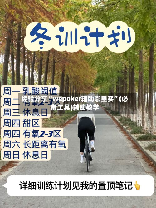 经验分享“wepoker辅助哪里买”(必备工具)辅助教学-第3张图片