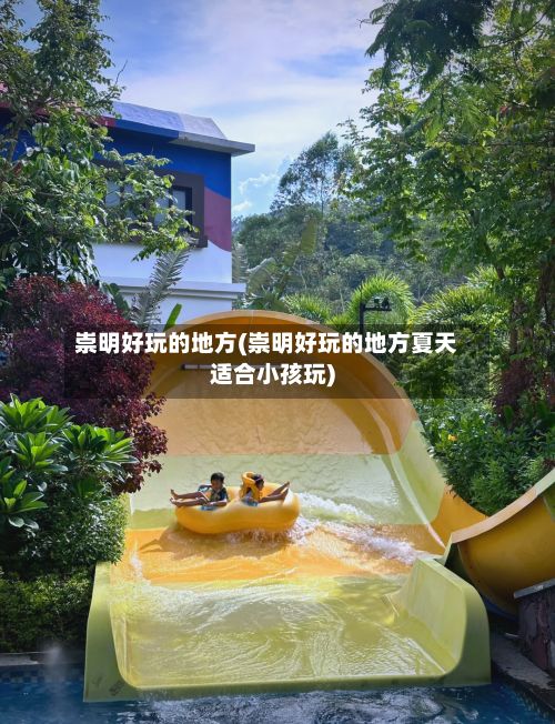 崇明好玩的地方(崇明好玩的地方夏天适合小孩玩)