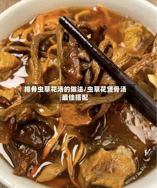 排骨虫草花汤的做法/虫草花煲骨汤最佳搭配