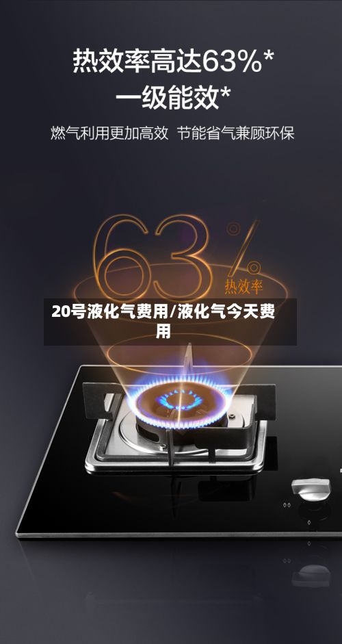 20号液化气费用/液化气今天费用-第2张图片