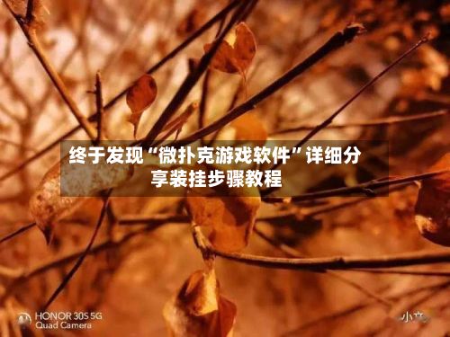 终于发现“微扑克游戏软件	”详细分享装挂步骤教程-第2张图片