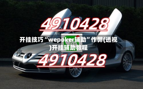 开挂技巧“wepoker辅助”作弊(透视)开挂辅助教程-第3张图片