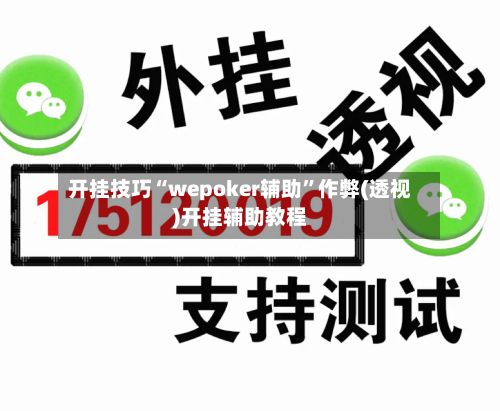 开挂技巧“wepoker辅助”作弊(透视)开挂辅助教程-第2张图片