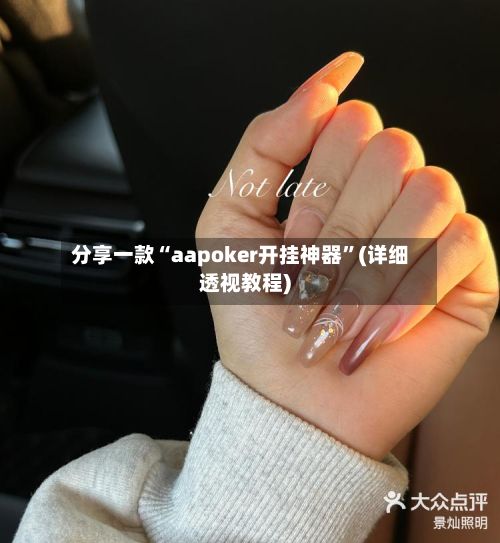 分享一款“aapoker开挂神器	”(详细透视教程)-第3张图片