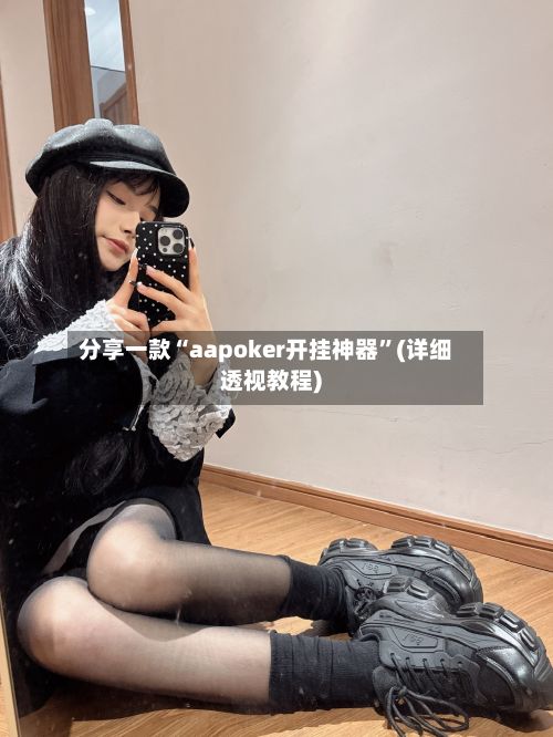 分享一款“aapoker开挂神器”(详细透视教程)-第2张图片