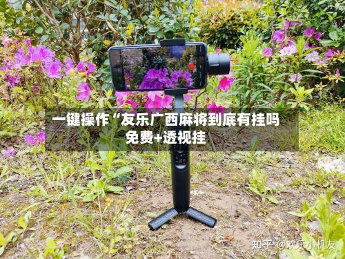 一键操作“友乐广西麻将到底有挂吗免费+透视挂-第2张图片