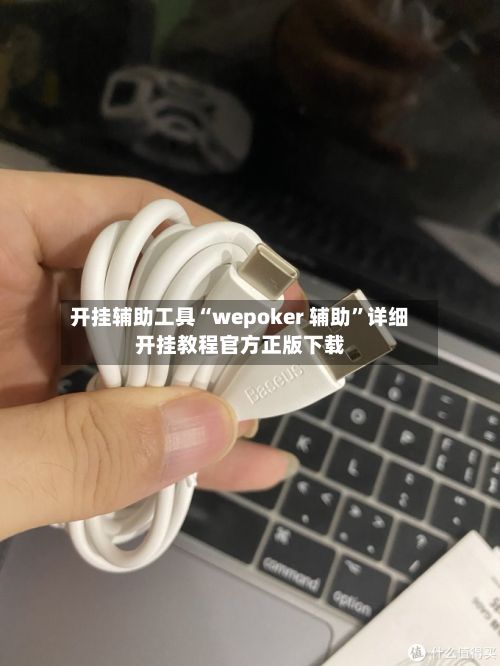 开挂辅助工具“wepoker 辅助	”详细开挂教程官方正版下载-第2张图片