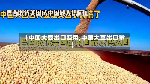 【中国大豆出口费用,中国大豆出口量】-第2张图片