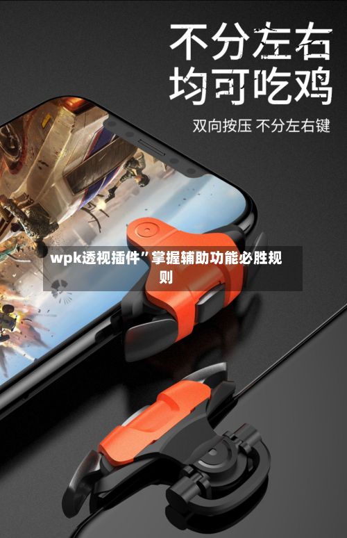 wpk透视插件”掌握辅助功能必胜规则-第2张图片