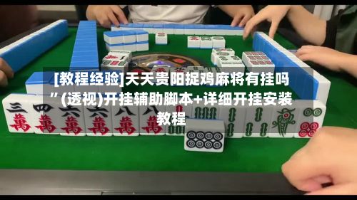 [教程经验]天天贵阳捉鸡麻将有挂吗	”(透视)开挂辅助脚本+详细开挂安装教程-第2张图片