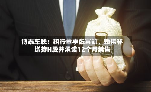 博泰车联：执行董事张富凯、赖伟林增持H股并承诺12个月禁售-第3张图片