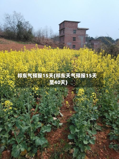 祁东气预报15天(祁东天气预报15天至40天)-第3张图片
