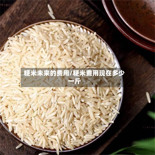 粳米未来的费用/粳米费用现在多少一斤-第2张图片