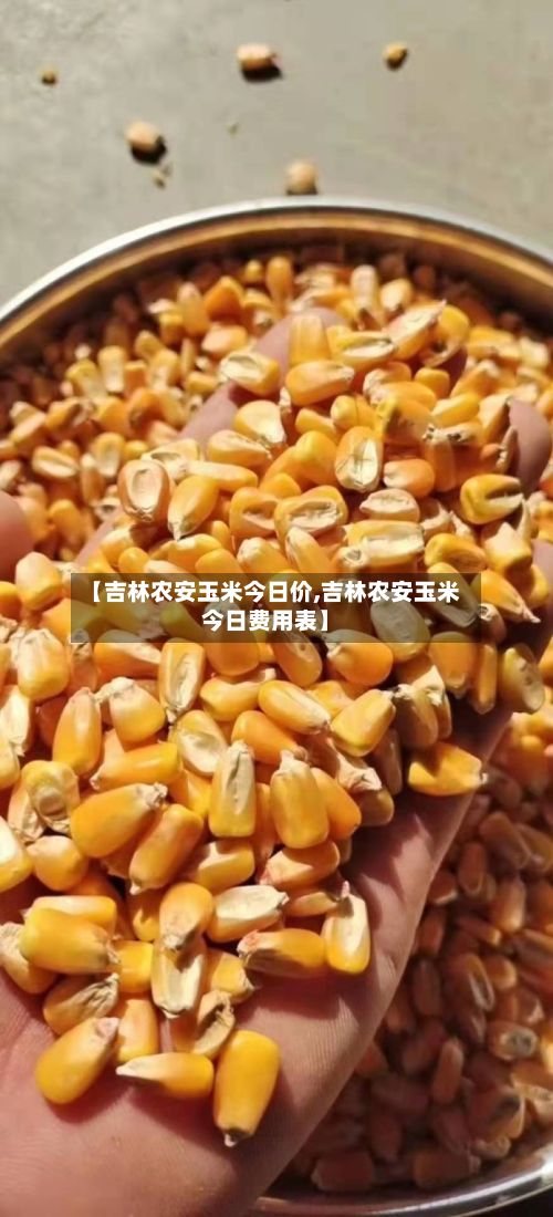 【吉林农安玉米今日价,吉林农安玉米今日费用表】-第2张图片