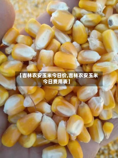 【吉林农安玉米今日价,吉林农安玉米今日费用表】-第3张图片