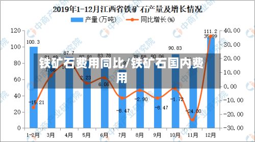 铁矿石费用同比/铁矿石国内费用-第2张图片