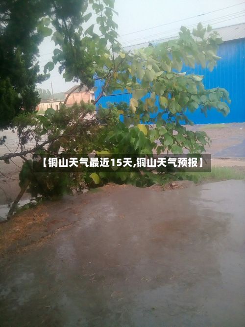 【铜山天气最近15天,铜山天气预报】-第2张图片
