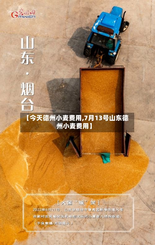 【今天德州小麦费用,7月13号山东德州小麦费用】